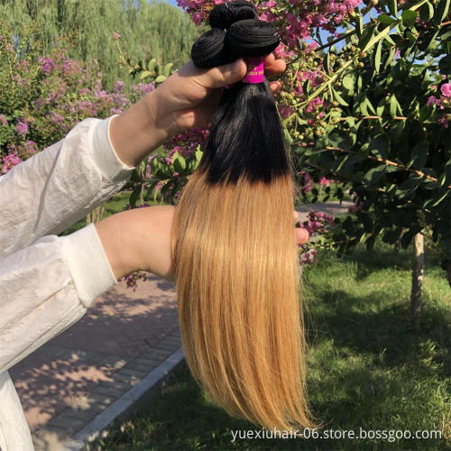 High Quality Double Drawn Brazilian Human Hair Bundles 1B 27 ombre colored Hair Extensions straight Bundles